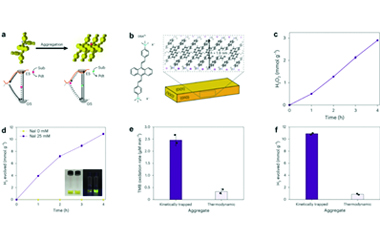 Aggregation-induced photocatalysis: Seeing the forest in supramolecular dye polymers 2026.101037